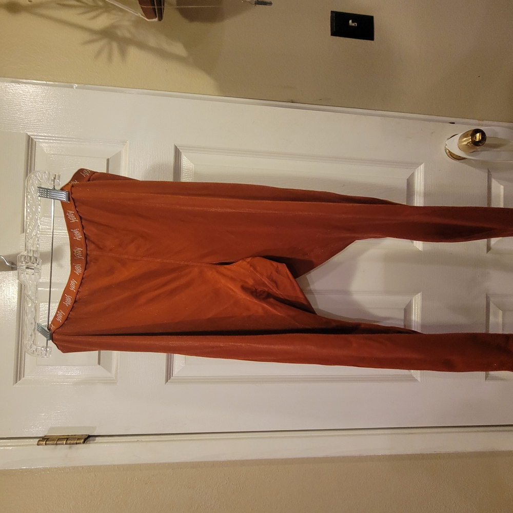 Fabletics Womens Rust Orange Leggings Size 3XL